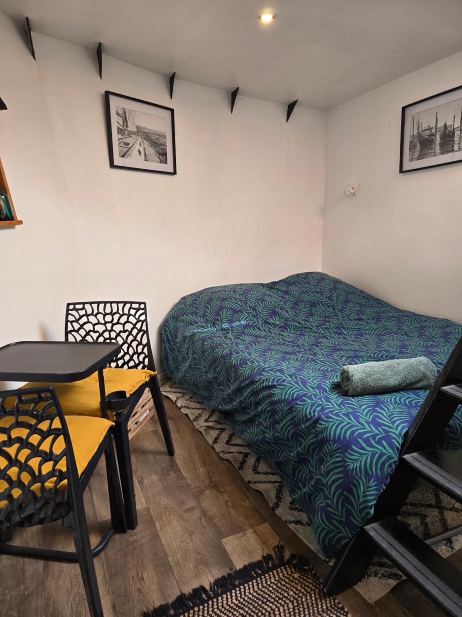 Atypique Chambre Sur Peniche ストラスブール エクステリア 写真